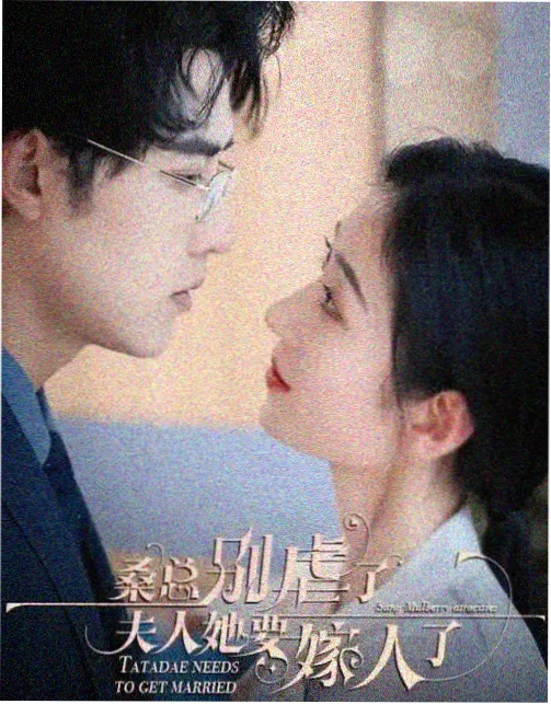 标本卡：支脉人物子规的图鉴封面